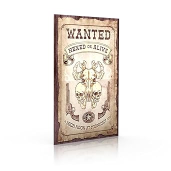 Monte Cook Games - Cypher System Wanted Hexed Or Alive cover image