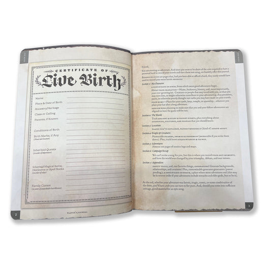 RPG Player's Journal