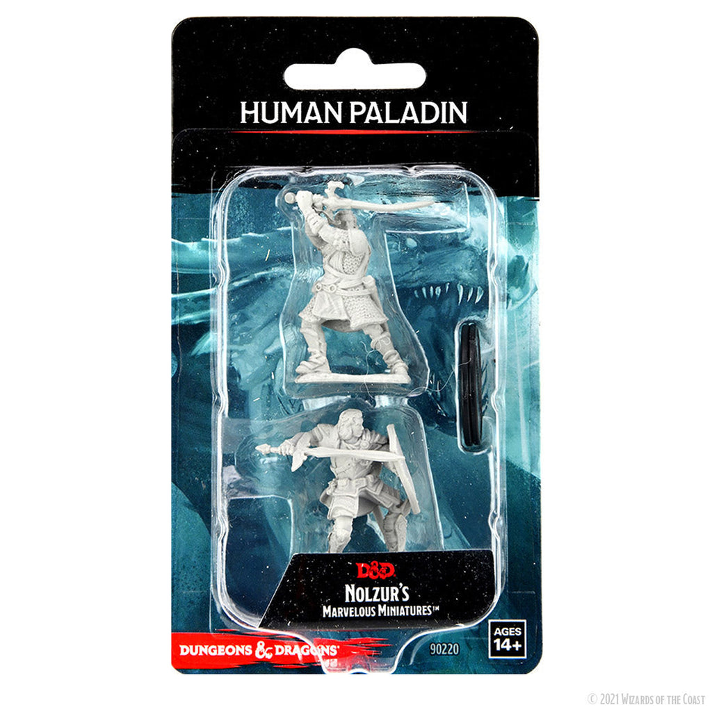 Dungeons & Dragons Nolzur's Marvelous Miniature Human Male Paladin Version 3
