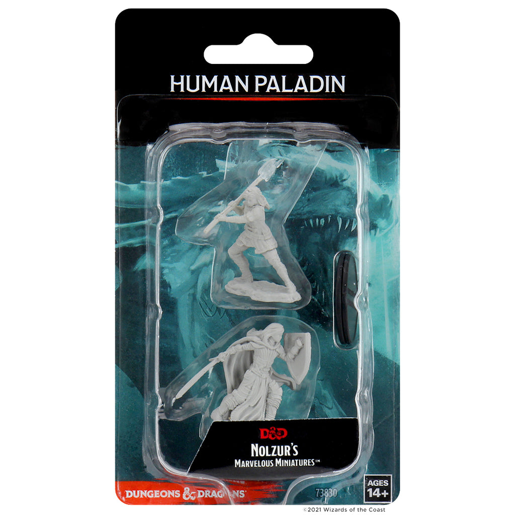 Dungeons & Dragons Nolzur's Marvelous Miniature Human Female Paladin
