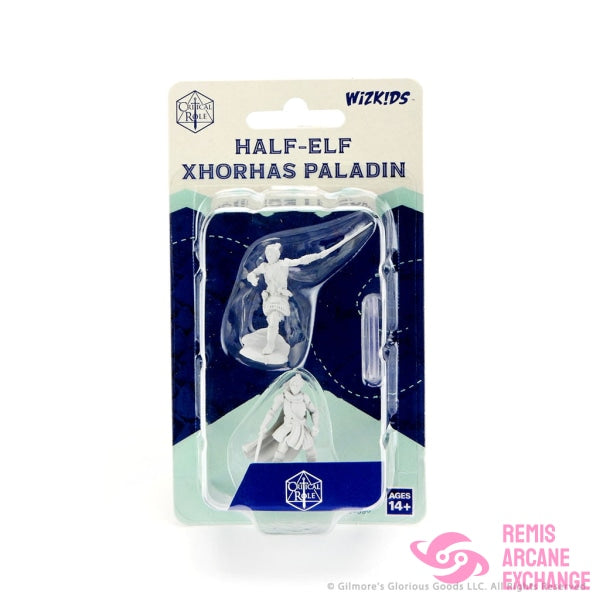 Critical Role Unpainted Miniatures: Half Elf Xhorhas Paladin Playing Games