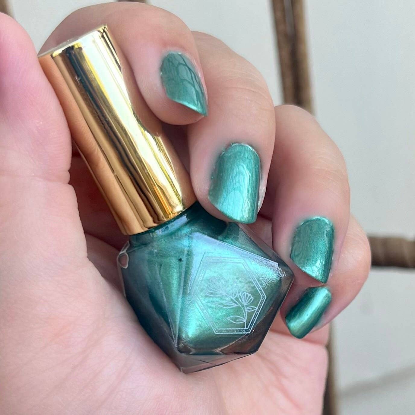 Camping Trip - Colorado Spruce Tree Shimmering Green