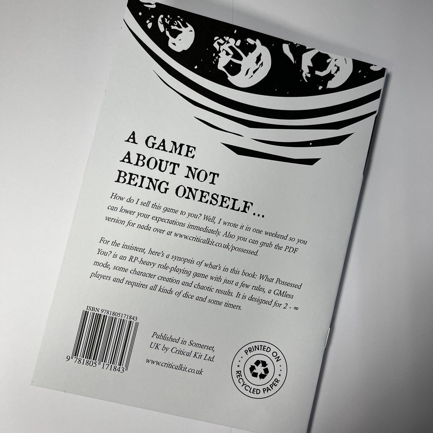 What Possessed You? (Zine)