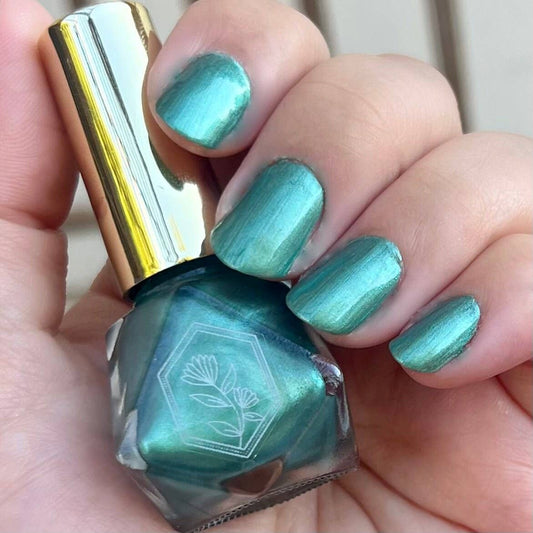 Camping Trip - Colorado Spruce Tree Shimmering Green