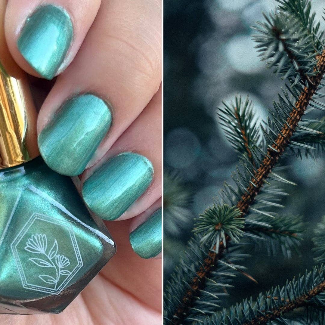 Camping Trip - Colorado Spruce Tree Shimmering Green