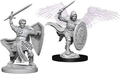 Nolzur's Marvelous Unpainted Miniatures - W05 Aasimar Male Paladin