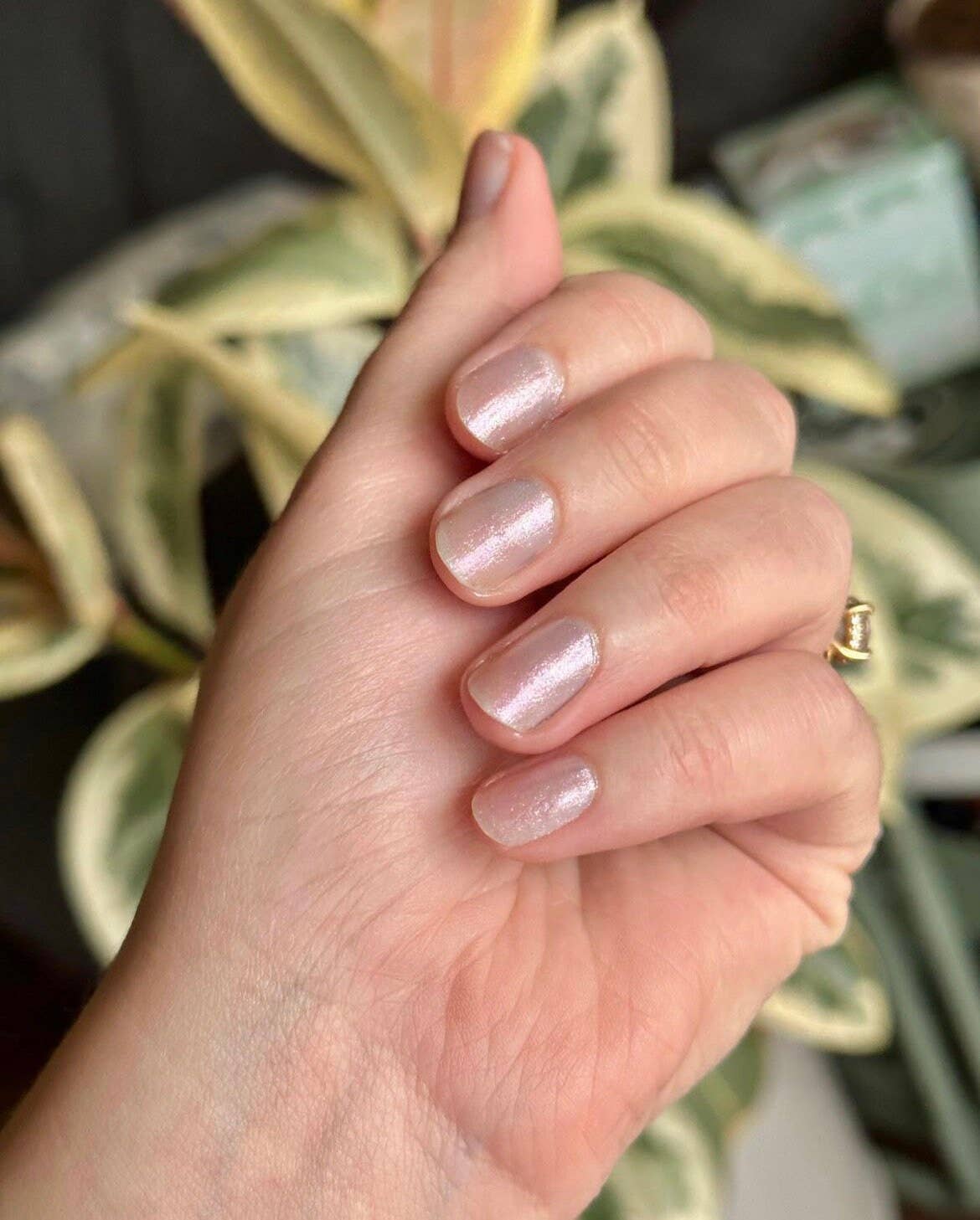 Diamond Dust - Blinding Rainbow Glitter Topper - Nail Polish