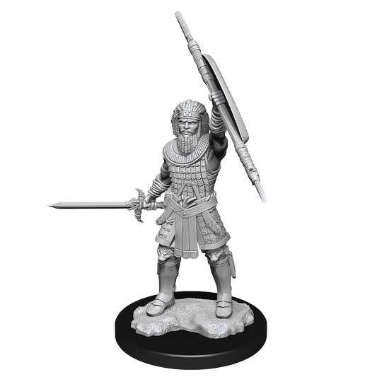 Dungeons & Dragons Nolzur's Marvelous Miniature Human Male Fighter