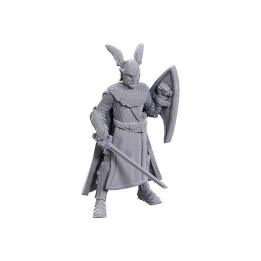D&D Nolzur's Marvelous Miniatures: Limited Edition 50th Anniversary — Elves