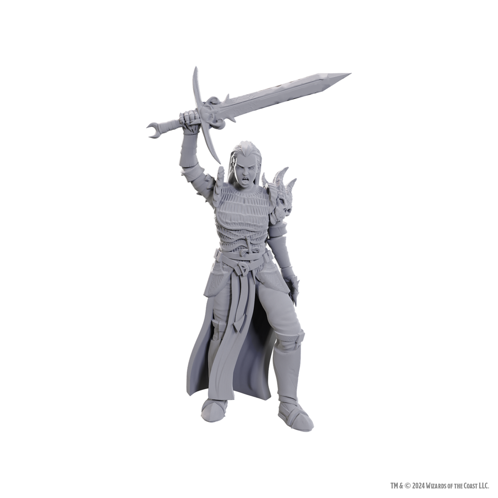 D&D Nolzur's Marvelous Miniatures: Blackguard