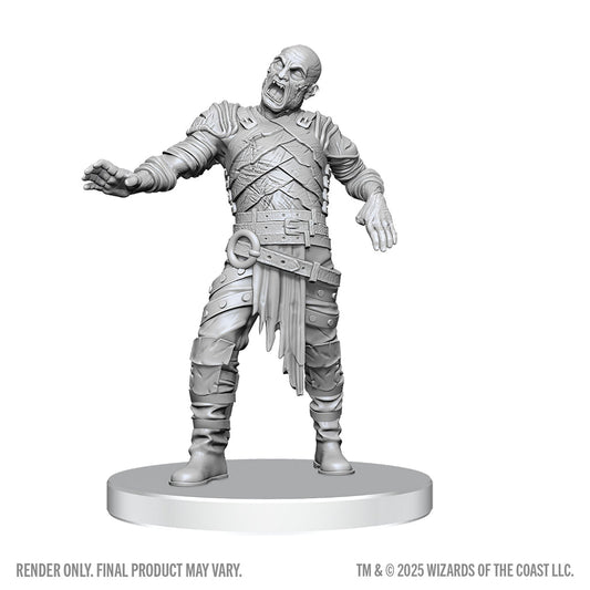 WizKids D&D Nolzur's Marvelous Miniatures: Swarm of Rot Grubs & Rot Grub Victim