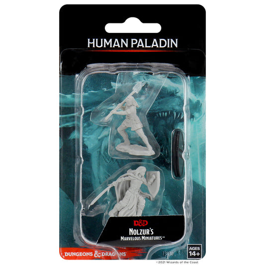 Dungeons & Dragons Nolzur's Marvelous Miniature Human Female Paladin