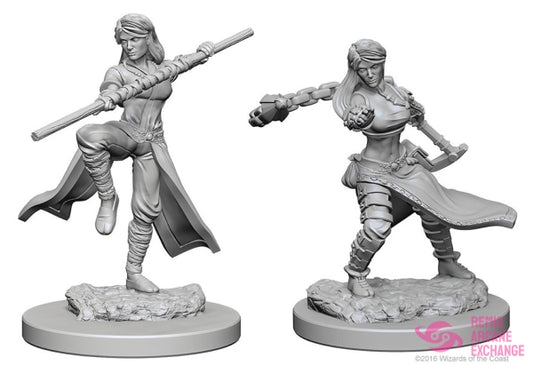 Nolzurs Marvelous Unpainted Miniatures - W01 Human Female Monk Role Playing Games