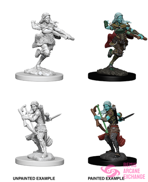 Nolzurs Marvelous Unpainted Miniatures - W04 Air Genasi Female Rogue Role Playing Games