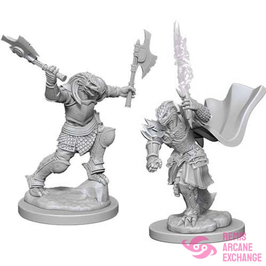 Nolzurs Marvelous Unpainted Miniatures - W04 Dragonborn Female Fighter Role Playing Games