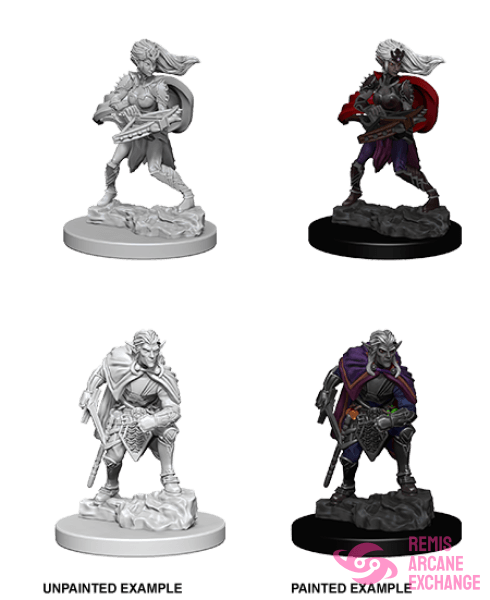 Nolzurs Marvelous Unpainted Miniatures - W04 Drow Role Playing Games