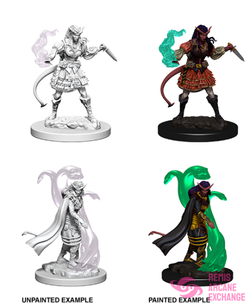 Nolzurs Marvelous Unpainted Miniatures - W04 Tiefling Female Sorcerer Role Playing Games
