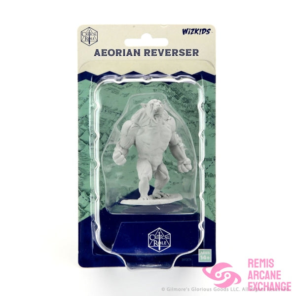 Critical Role Unpainted Miniatures: Aeorian Reverser Playing Games