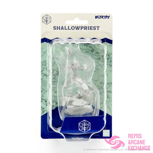 Critical Role Unpainted Miniatures: Shallowpriest Playing Games