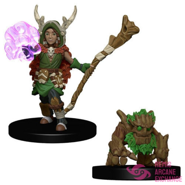 Wardlings: Boy Druid & Tree Creature