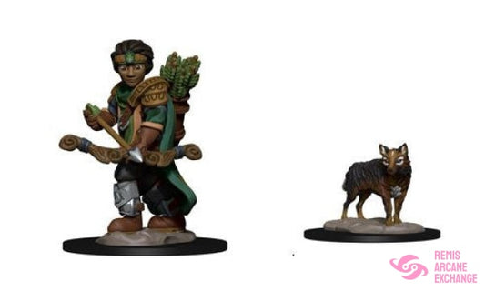 Wardlings: Boy Ranger & Wolf
