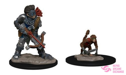 Wardlings: Boy Rogue & Monkey