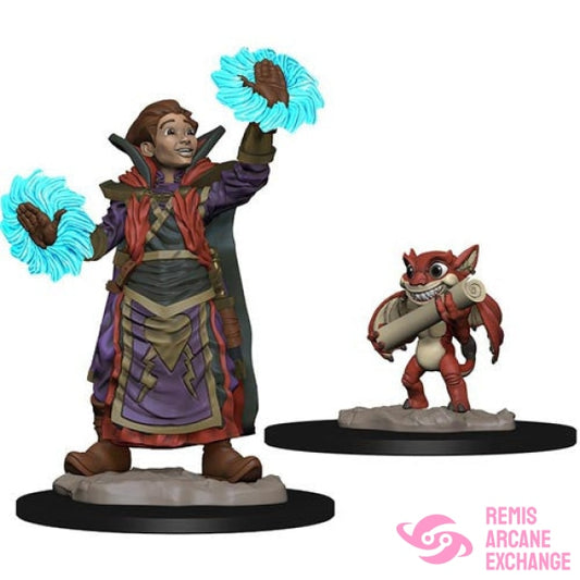 Wardlings: Boy Wizard & Imp