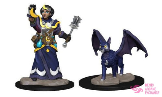 Wardlings: Girl Cleric & Winged Cat