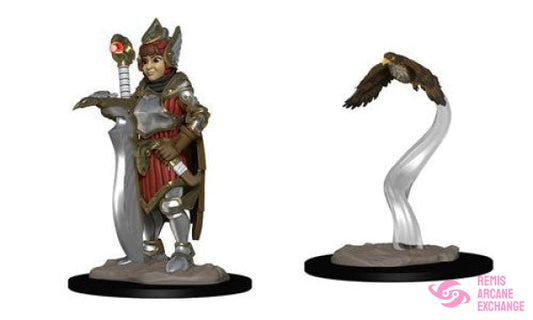 Wardlings: Girl Fighter & Hunting Falcon